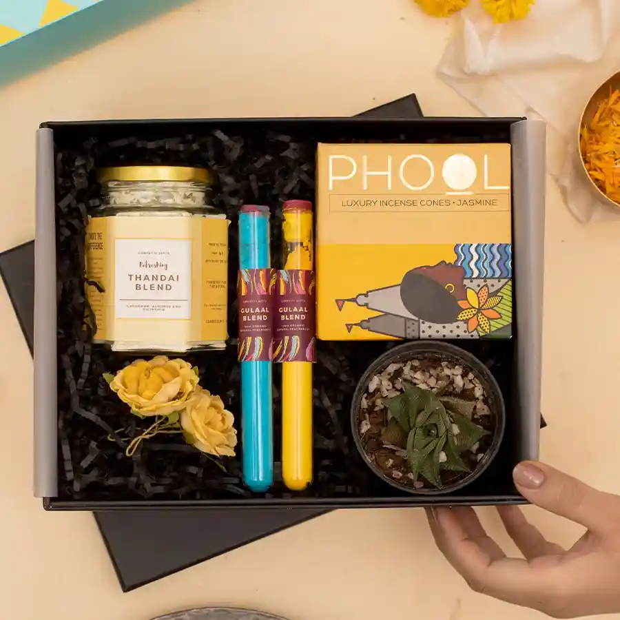 Colorful Holi Joy Bundle featuring vibrant color tubes, Phool Thandai, a succulent plant, and incense cones in a reusable box.
