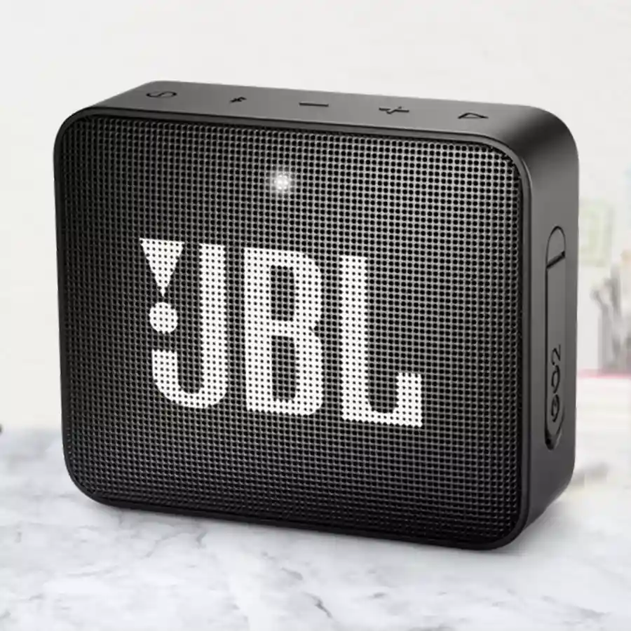 Playful JBL Portable Wireless Bluetooth Speaker