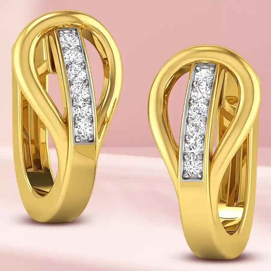 Rich Astonishment Earrings