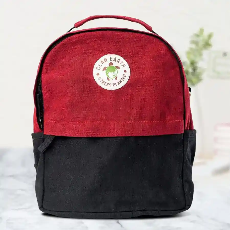 Exclusive Eco Friendly Koala Backpack