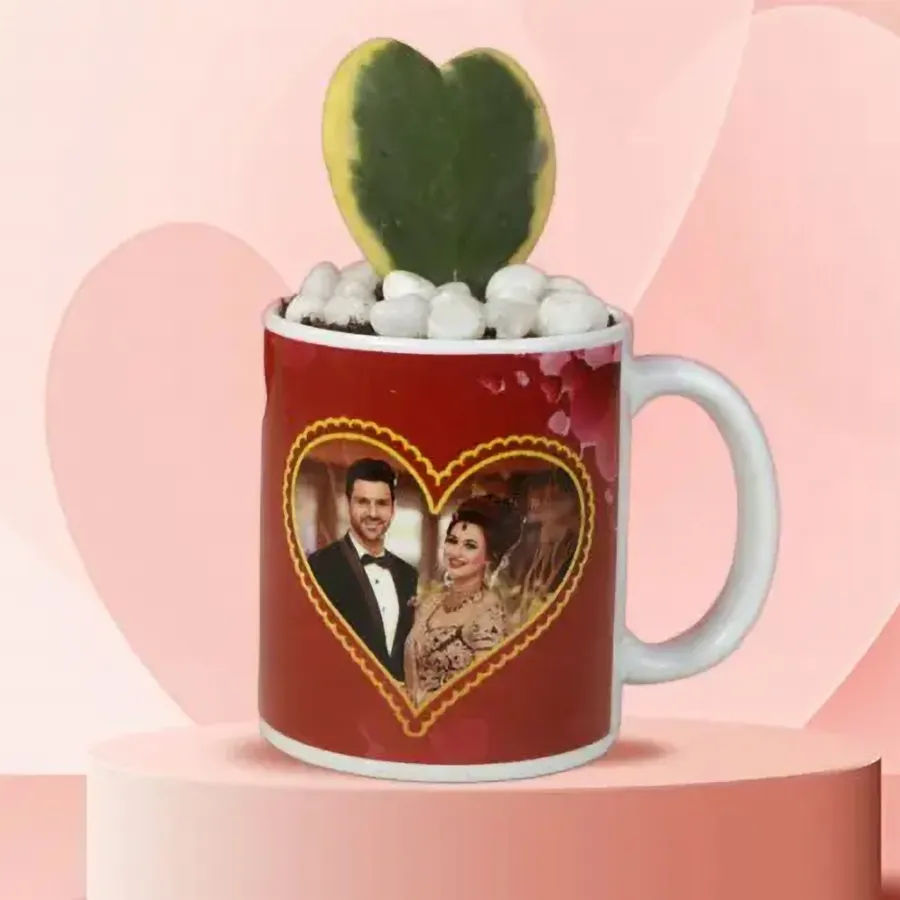 Charming Hoya Plant N Customized Mug Combo