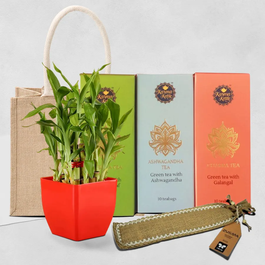 Amazing Healing Gift Combo for Mother