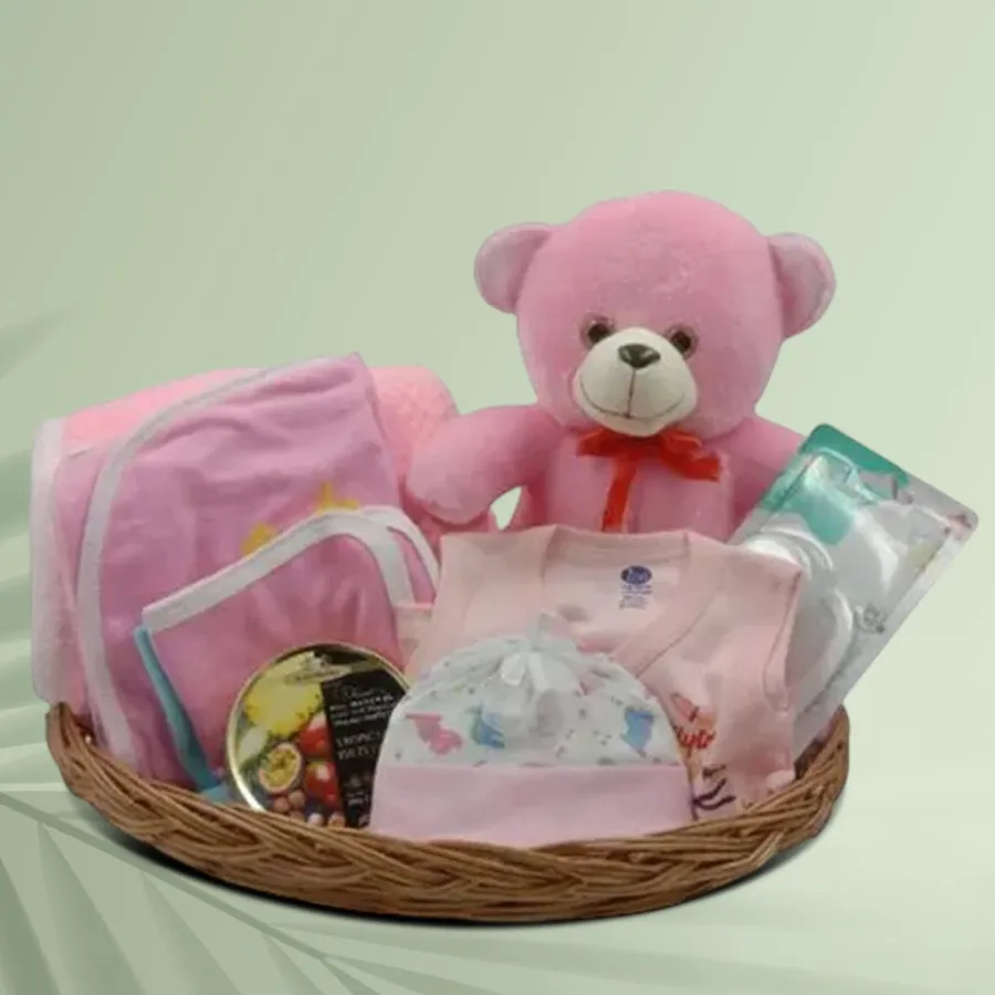 Magnificent Baby Girl Clothing N Grooming Set with Simpkins Candies N Teddy