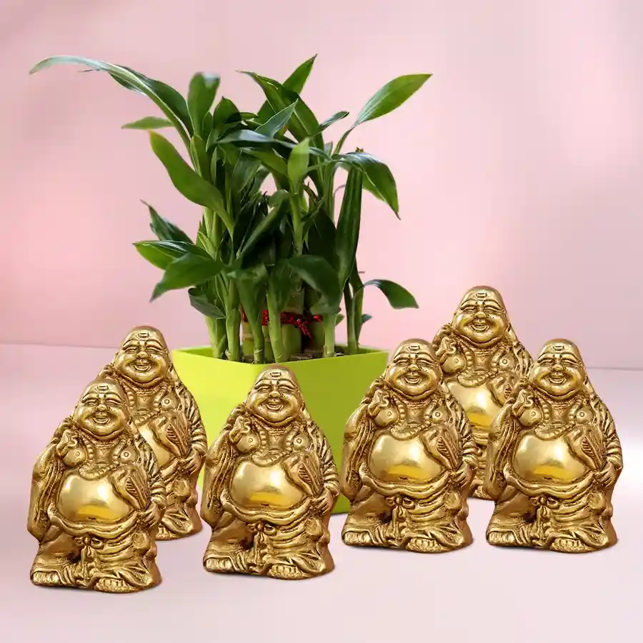 Good Luck Charm 2 Tier Bamboo Plant N Laughing Buddha Set