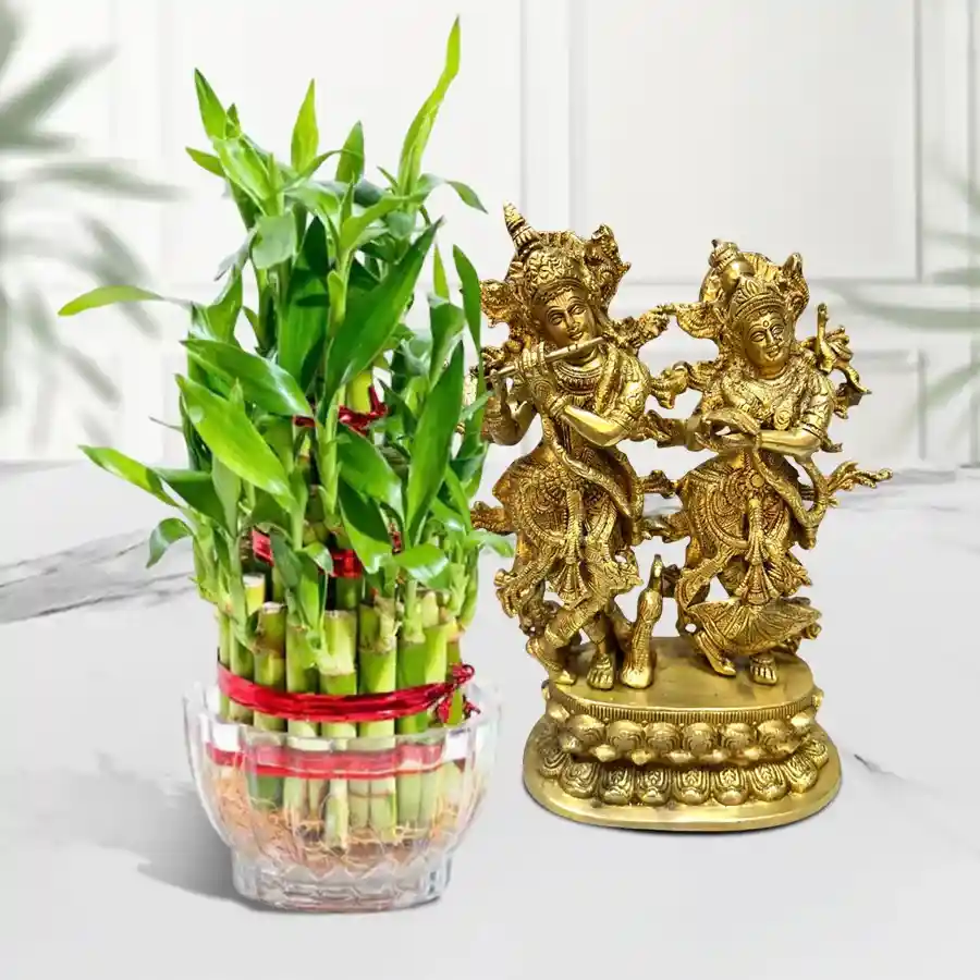 Good Fortune Combo of Bamboo Plant N Radha Krishna Idol