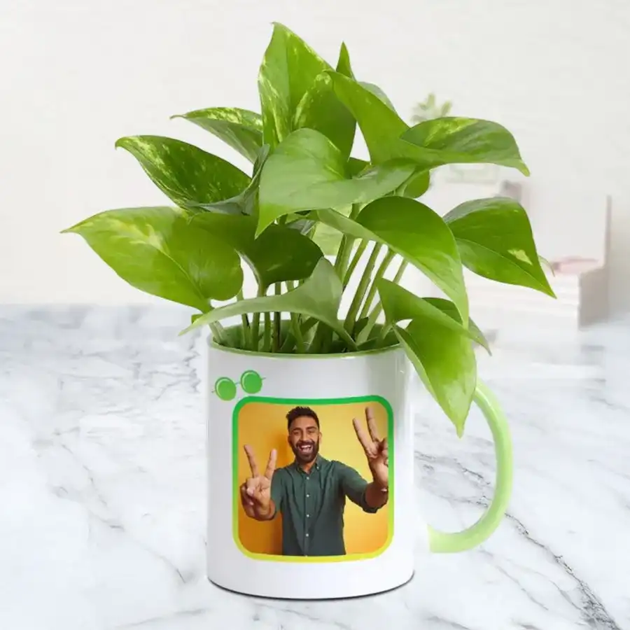 Lovely Money Plant in Personalized Coffee Mug