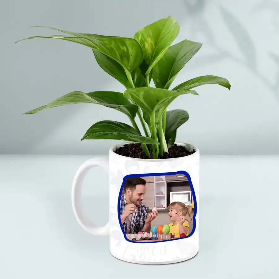 Enticing Moms Day Gift of Money Plant in Personalized Coffee Mug