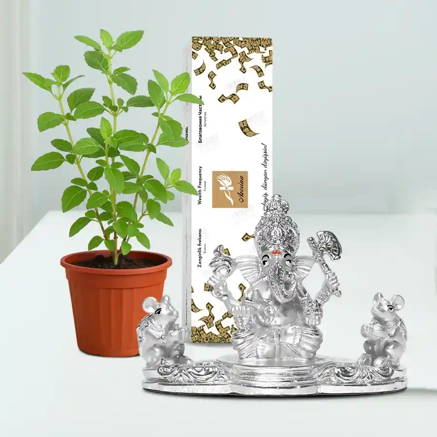 Go Green Tulsi Plant N Puja Gift Hamper
