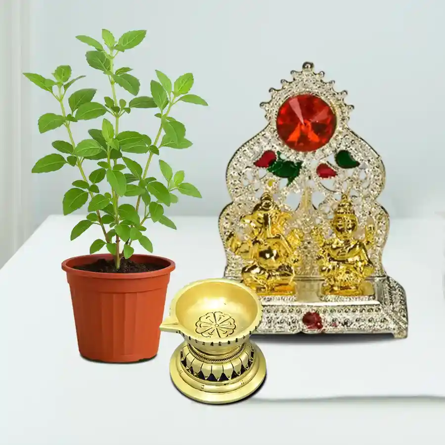 Classy Moms Day Gift of Tulsi Plant with Diya N Ganesh Laxmi Mandap