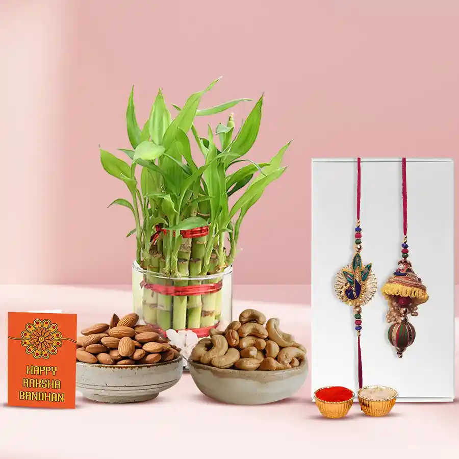Attractive Bhai Rakhi with Dry Fruits n Bamboo Plant