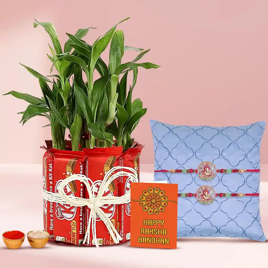 Lovely Set of 2 Ganesh Rakhi with 2 Tier Bamboo Plant N Kitkat Arrangement