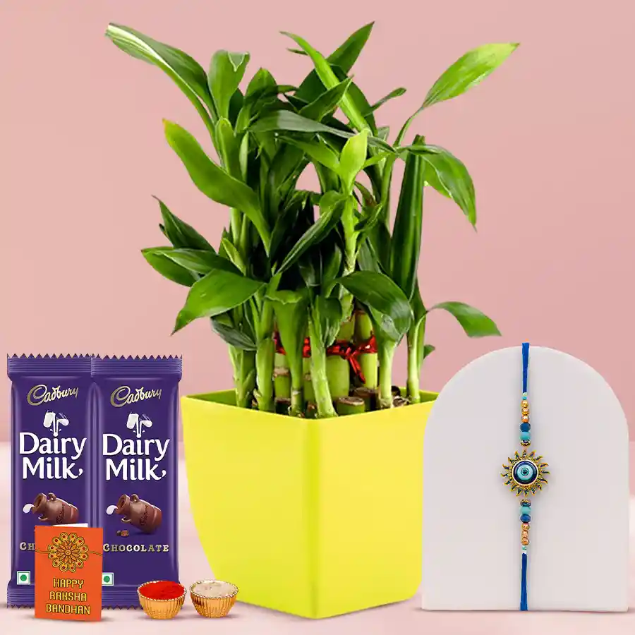 Evil Eye Rakhi with 2-tier bamboo plant and Cadbury Dairy Milk bars in a yellow pot