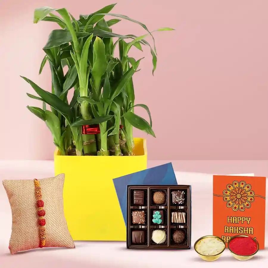 Fancy Rudraksh Rakhi with a 2 Tier Bamboo Plant and nine handmade chocolates, accompanied by Rakhi, Roli, Tika, and Chawal.