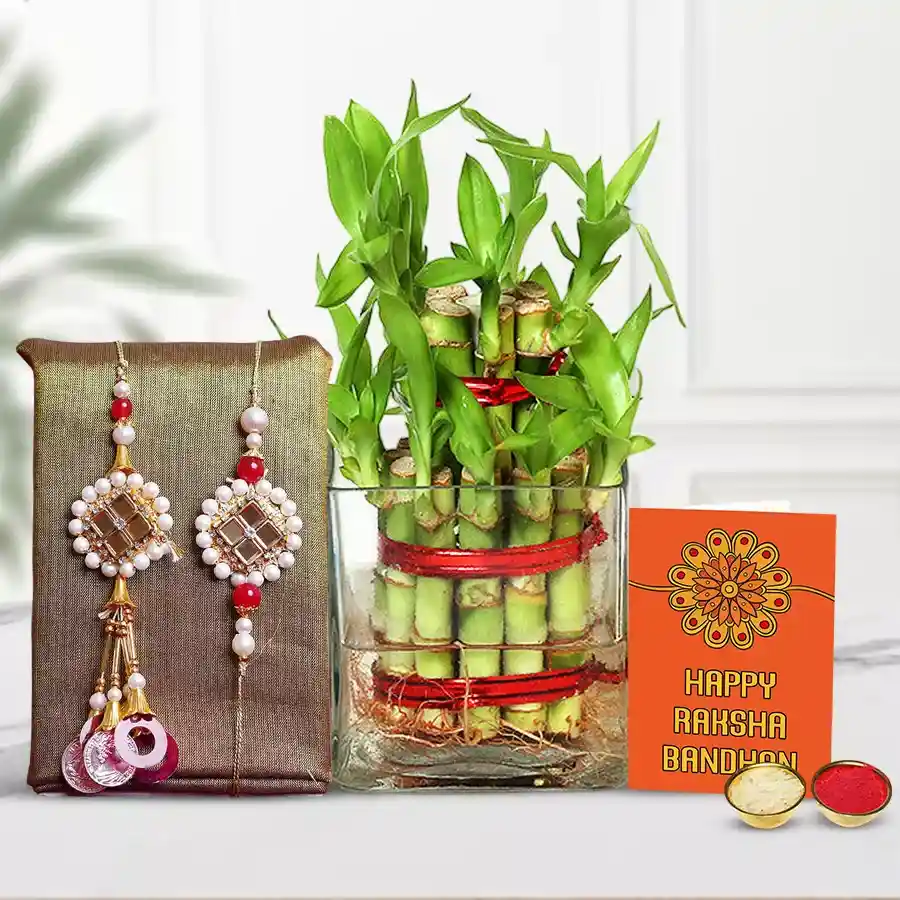Two-tier bamboo plant arrangement in a glass vase with a decorated Rakhi, Roli, Tilak, and Chawal beside it.