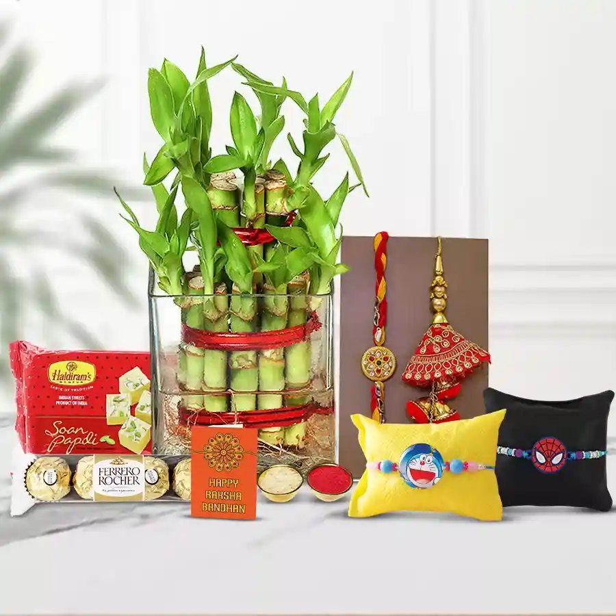 Remarkable Family Rakhi and 2-Tier Bamboo Plant Collection with Haldiram Soan Papdi and Ferrero Rocher chocolates