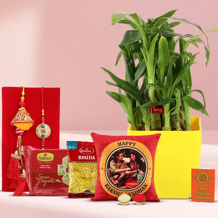 Designer Raja Rani Rakhi Set N 2 Tier Bamboo Plant Combo