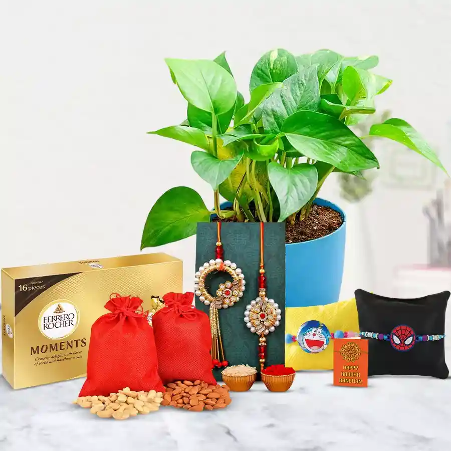 Festive Money Plant N Family Rakhi Set