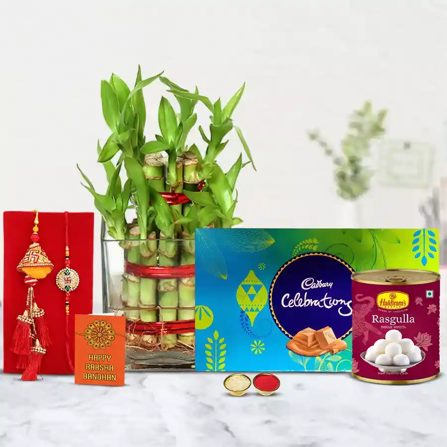 Lovely Combo of Raja Rani Rakhi with 2 Tier Bamboo Plant