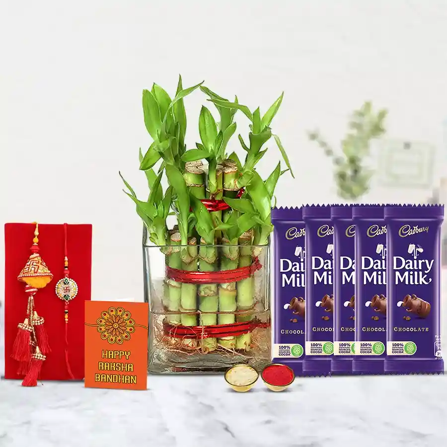 Bright 2 Tier Bamboo Plant N Lumba Rakhi Arrangement