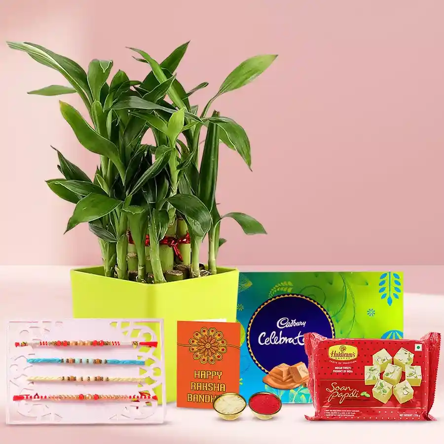 Holy Selection of Four Rakhi N 2 Tier Bamboo Plant