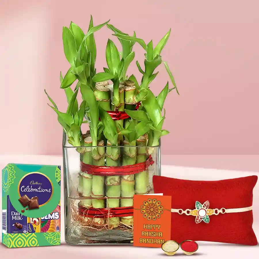 Pious Arrangement of Rakhi with 2 Tier Bamboo Plant