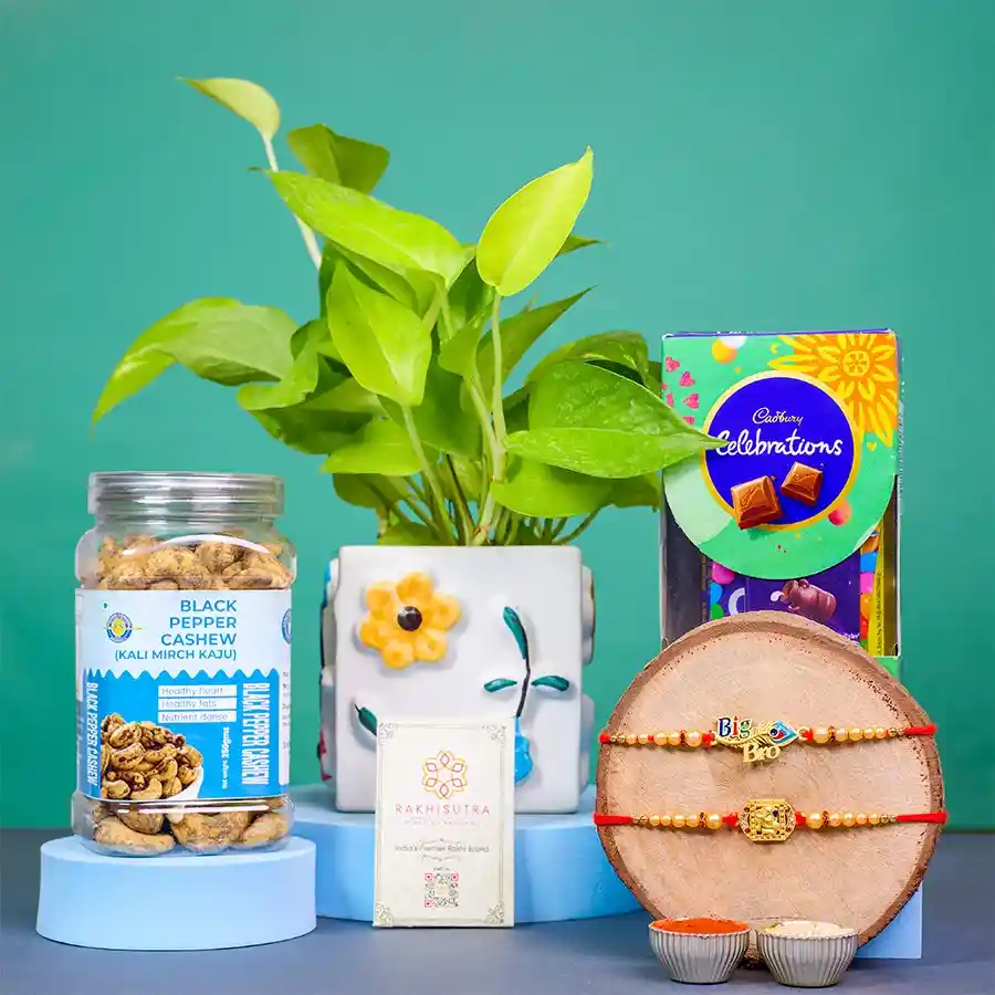 Divine Rakhi Combo Sweets N Pothos Plant