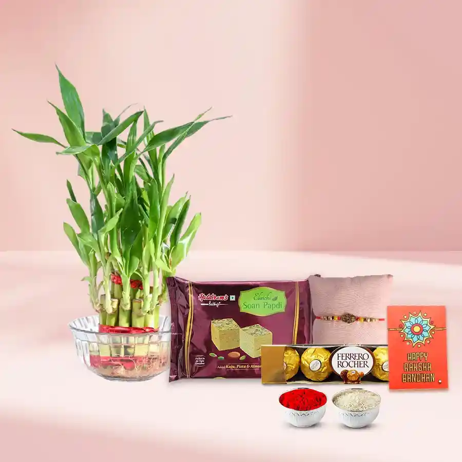Eco Friendly Rakhi Assortment Gifts