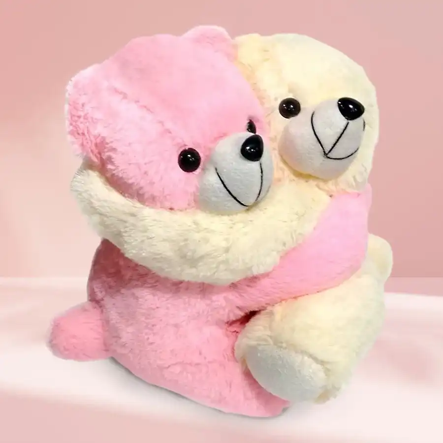 Beautiful Hugging Teddy Gift